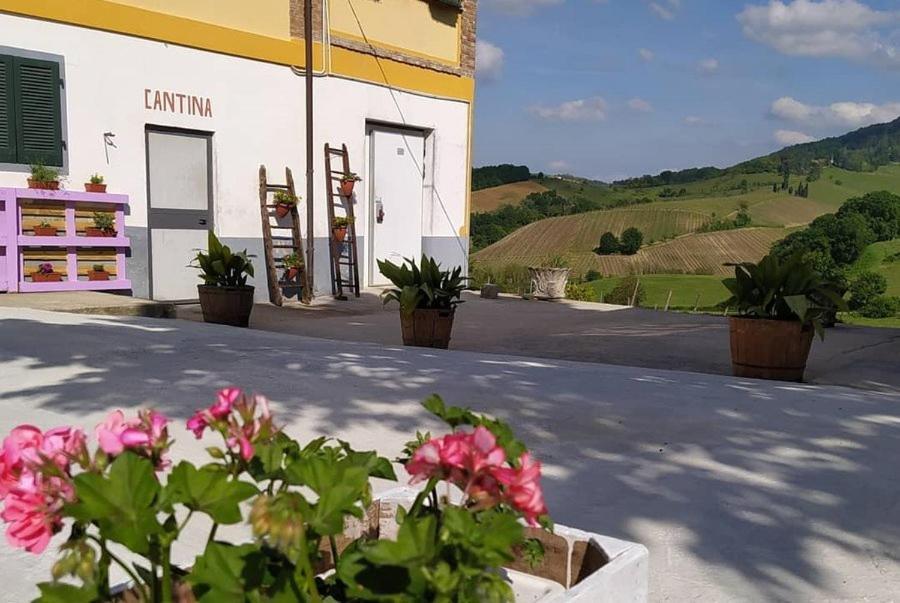 Cascina Angelina Villa Casteggio Ngoại thất bức ảnh
