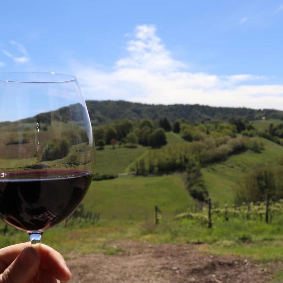 Cascina Angelina Villa Casteggio Ngoại thất bức ảnh
